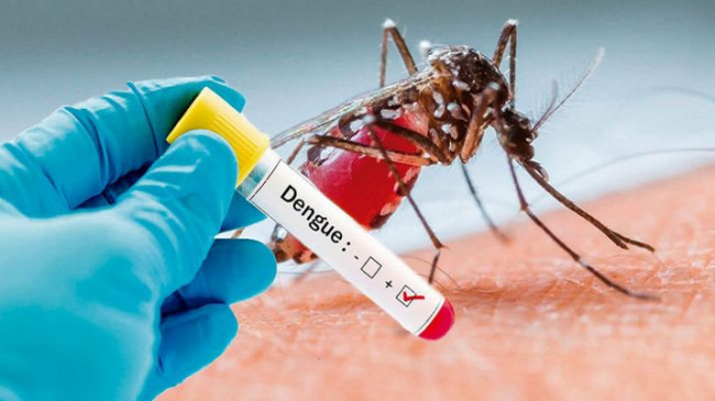 फिर डेंगू का डंक : घरों में मिले लार्वा ठोकेंगे जुर्माना, मिले 20 और मरीज