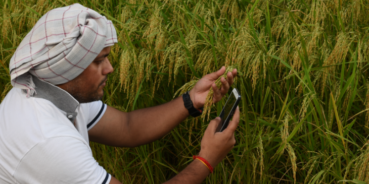 Now Farmers will get information about irrigation through this app