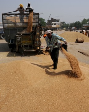 Official price of wheat in Punjab province of Pakistan Rs. 1,375 per mana