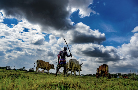 40 villages of Bihar will have climate friendly farming
