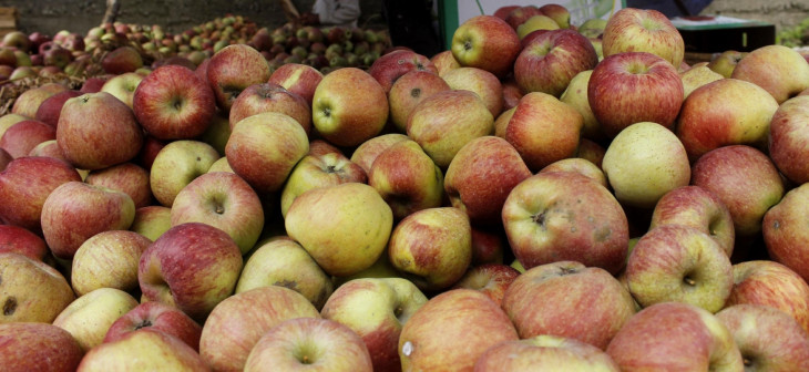 कश्मीर के किसानों के लिए अच्छी खबर, सेब के मिलेंगे बेहतर दाम