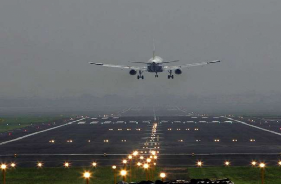 Landing of two planes was delayed due to dead bird