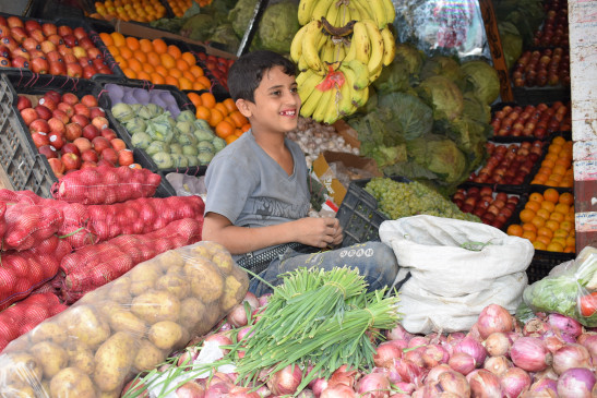 Price of cereals increased after pulses and vegetables