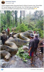 Image Of World Largest Snake And Claim Killed 257 People Viral Fact Check Fake News 257 इ स न क म र च क ह 135 फ ट ल ब स प ज न क य ह सच च ई द न क भ स कर ह द