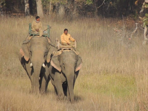 बफर जोन में पर्यटकों को मिल सकेगा हाथियों की ज्वॉय राइड का लुत्फ