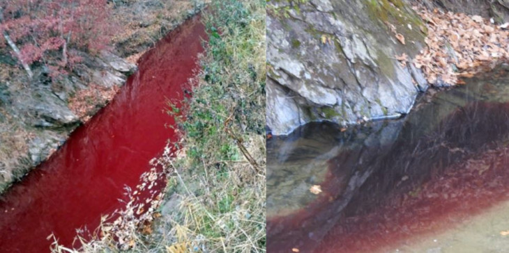 साउथ कोरिया की एक नदी खून से हुई लाल, वजह जानकर होगी हैरानी