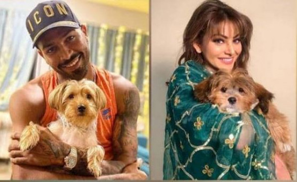 उर्वशी रौतेला को हार्दिक पांड्या ने गिफ्ट किया Puppy! क्या आगे बढ़ रहा रिश्ता?