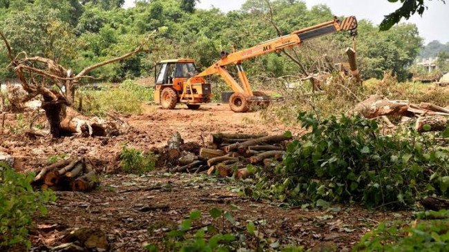 महाराष्ट्र: आरे में नहीं कटेगा अब एक भी पेड़, मेट्रो कार शेड प्रोजेक्ट पर सीएम ने लगाई रोक