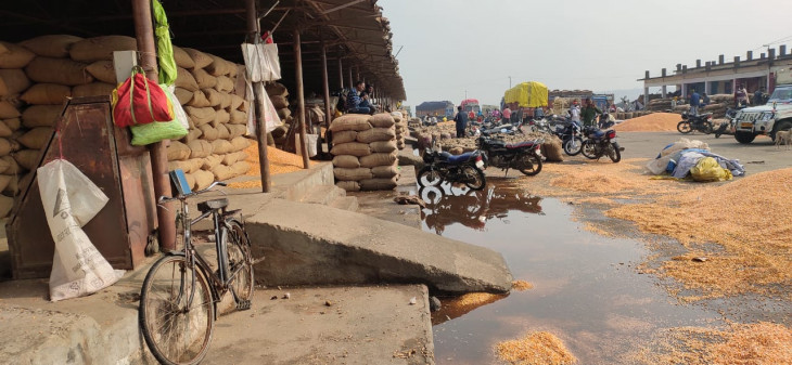 Thousands of quintal maize drenched, farmers outraged