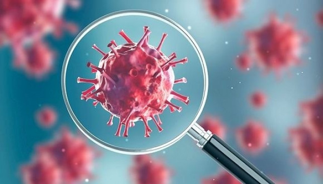 Corona virus reaches the Indo-Nepal border, will be screened at the border