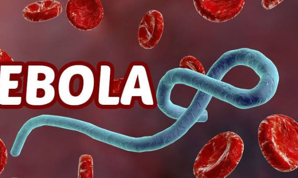Virus: कोरोनावायरस ही नहीं इन वायरसों ने दुनिया में मचाया मौत का तांडव Virus: कोरोनावायरस ही नहीं इन वायरसों ने दुनिया में मचाया मौत का तांडव