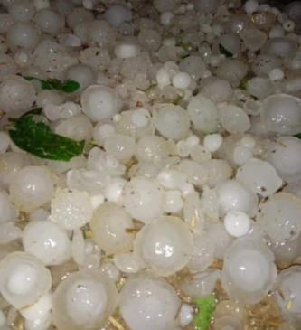 Hail showers in many districts - crops collapsed, water on farmers expectations