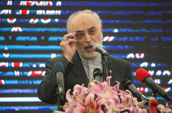 Iran can enrich uranium at any level