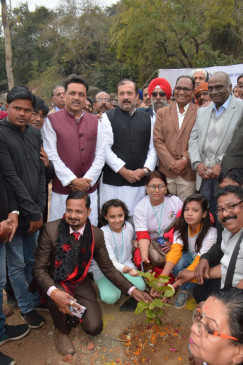 Madan Mahal hills will be made green - Plantation done