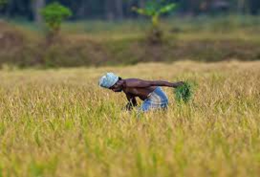 Sub-committee for farmers with more than 2 lakh loans