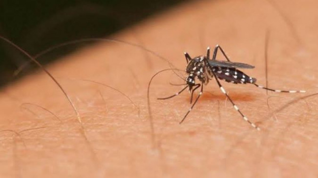 Virus: कोरोनावायरस ही नहीं इन वायरसों ने दुनिया में मचाया मौत का तांडव Virus: कोरोनावायरस ही नहीं इन वायरसों ने दुनिया में मचाया मौत का तांडव