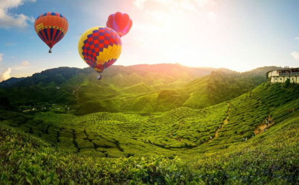 Travel: नेचर और एडवेंचर लवर के लिए मलेशिया का  कैमरून हाइलैंड्स है खास