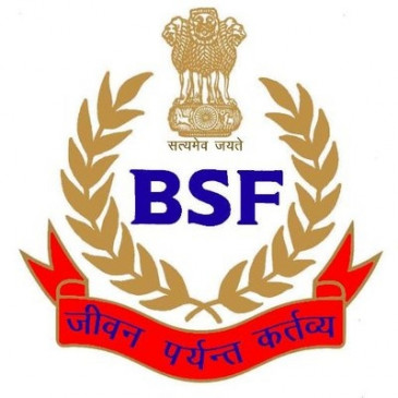 BSF jawans will curb locust attack
