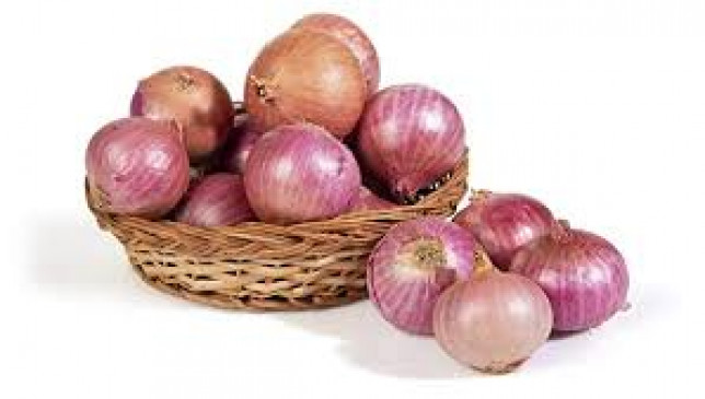 Estimates of record production of onions this year