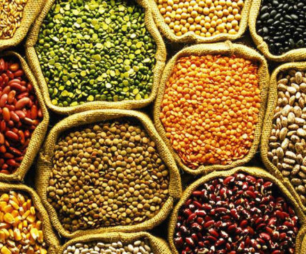 Global pulses conference in Lonavla on 12 February
