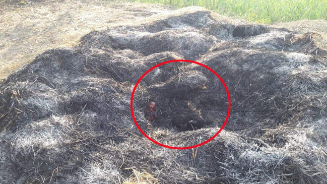 Woman murdered by burning woman in paddy parade in Majhiar