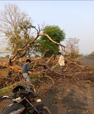 यवतमाल में कोरोना के तीनो मरीज हुए ठीक, एक संदिग्ध की रिपोर्ट का इंतजार यवतमाल में कोरोना के तीनो मरीज हुए ठीक, एक संदिग्ध की रिपोर्ट का इंतजार