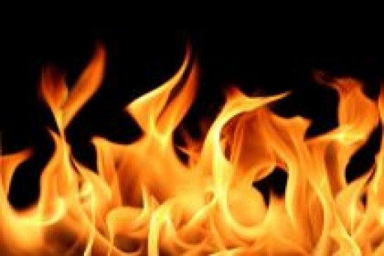 Bomb exploded in womans hand - Pig bombs were planted by poachers near the farm Bomb exploded in womans hand - Pig bombs were planted by poachers near the farm
