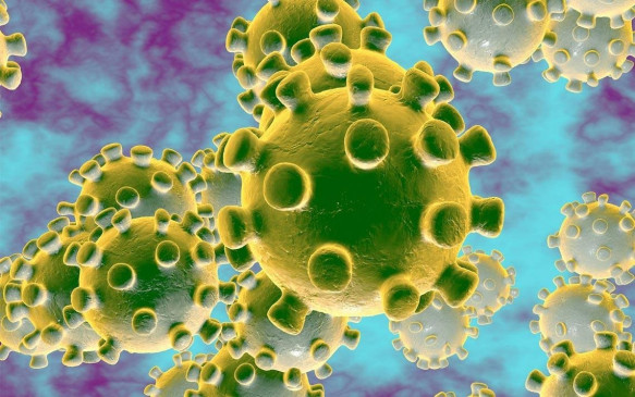 Confirmation of first patient infected corona in Cg Confirmation of first patient infected corona in Cg