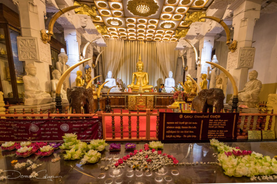 अजब-गजब: श्रीलंका के इस मंदिर में आज भी रखा है गौतम बुद्ध का दांत, जानें इस  जगह की अहमियत | Gautam Buddha's tooth is still kept in this temple of sri  lanka