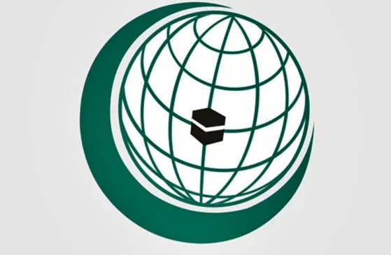 OIC expects Kashmir to pay more attention: Pakistan OIC expects Kashmir to pay more attention: Pakistan
