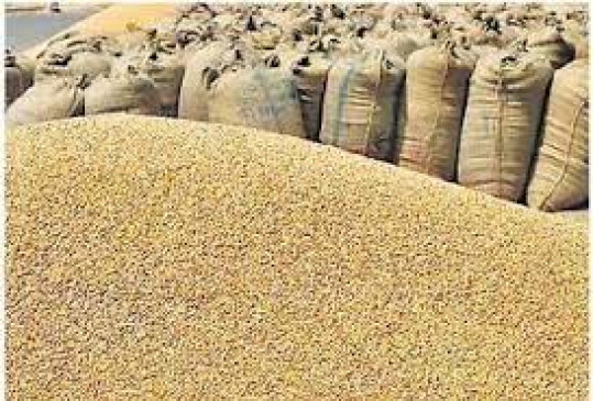 नागपुर पहुंचा 3 करोड़ 44 लाख किलो गेंहूू ,35 लाख 49 हजार किलो चावल