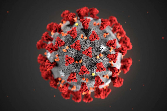 Coronavirus: WHO ने FB मैसेंजर पर इंटरैक्टिव कोविड-19 सेवा शुरू की, मिलेगी सही जानकारी