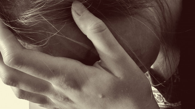  घरेलू हिंसा के मामलों में गिरावट : दिल्ली महिला आयोग 