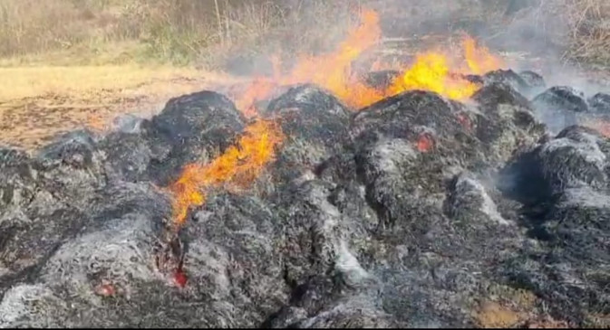 Fire in six fields, crop burning, fire brigade team overcomes fire