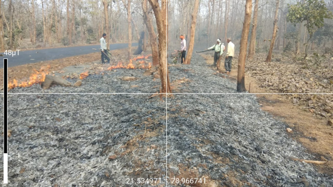 Forest Department built 29 hundred km fire line