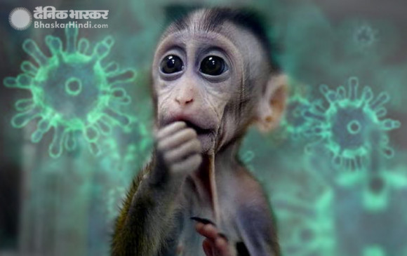 Good News: इस देश की वैक्सीन ने कोरोना संक्रमित बंदरों को किया ठीक, अब इंसानों पर ट्रायल जारी