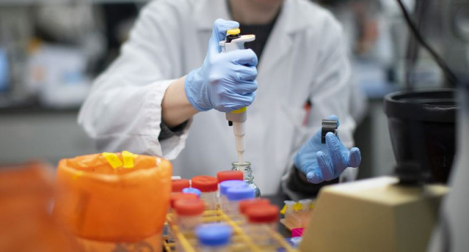 Corona Virus:वैज्ञानिकों के पास पुख्ता सबूत, प्राकृतिक रूप से पैदा हुआ कोरोना वायरस