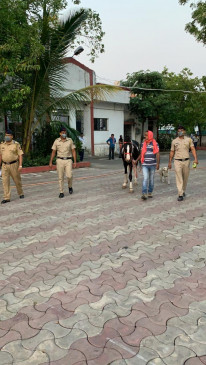 On seeing the owner the horses tears came out it started to hum in the police station.