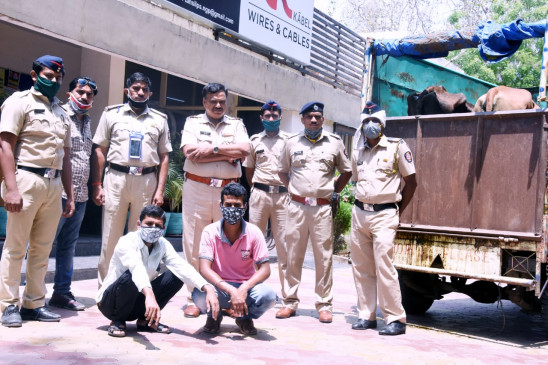Police saved the life of three trapped animals in a four wheeler