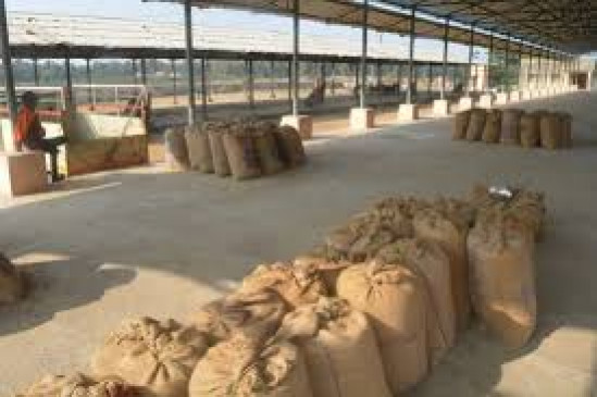 Time till April 30 for paddy purchase in Vidarbha