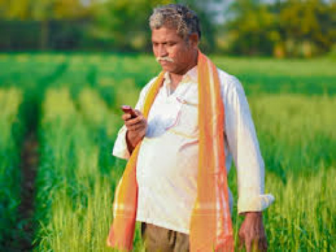 165 crores of paddy purchase not yet received to farmers 165 crores of paddy purchase not yet received to farmers