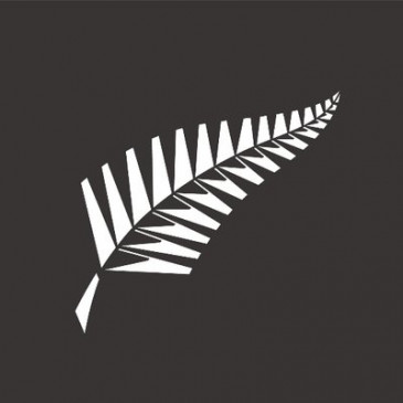 न्यूजीलैंड क्रिकेट के उप मुख्य कार्यकारी ने इस्तीफा दिया