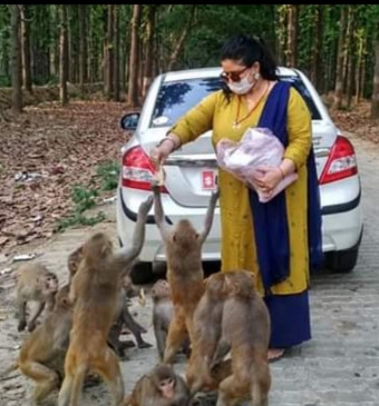  मंदिर बंद होने से बंदरों का छिना भोजन, गोरखपुर की ऐश्वर्या खिला रहीं उन्हें फल-चने 