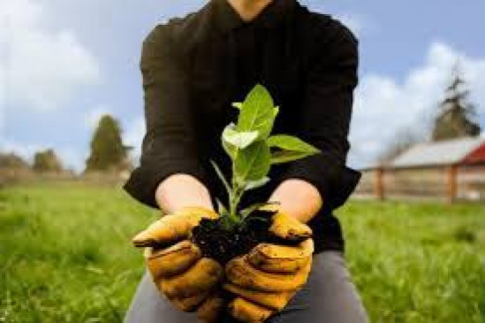 There will be a discount for depositing fees for agricultural university courses