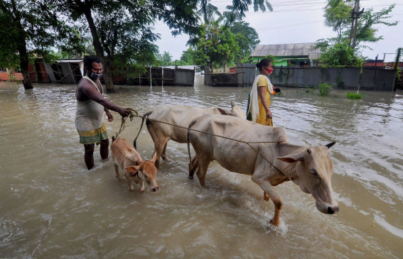 Assam Floods: असम में बाढ़ से तबाही, 59 लोगों की मौत, 30 जिलों के 45 लाख से ज्यादा लोग प्रभावित Assam Floods: असम में बाढ़ से तबाही, 59 लोगों की मौत, 30 जिलों के 45 लाख से ज्यादा लोग प्रभावित