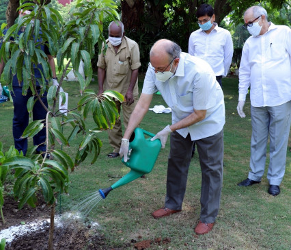 3 million plants including herbs being planted in Delhi