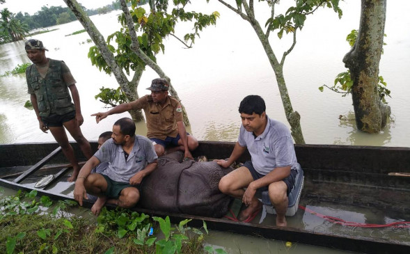 Assam Floods: असम में बाढ़ से तबाही, 59 लोगों की मौत, 30 जिलों के 45 लाख से ज्यादा लोग प्रभावित Assam Floods: असम में बाढ़ से तबाही, 59 लोगों की मौत, 30 जिलों के 45 लाख से ज्यादा लोग प्रभावित