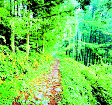 Clean air plan will be successful only through public participation