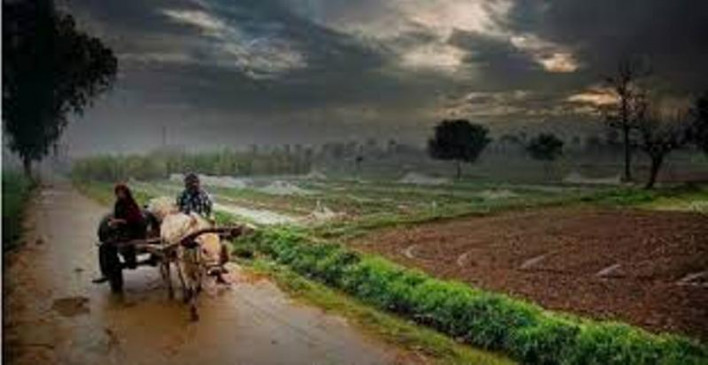 Good sowing due to good monsoon, did not affect by corona crisis