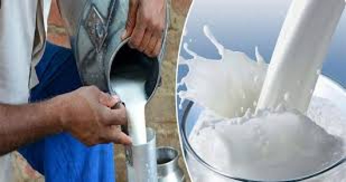 Government will prepare new scheme for milk producing farmers: Kedar